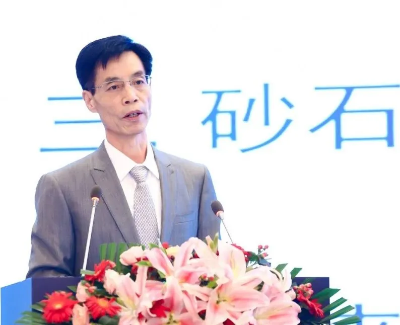 主旨報(bào)告 | 胡幼奕以國(guó)際化視角，提出固廢綜合利用和生態(tài)環(huán)境修復(fù)新思路